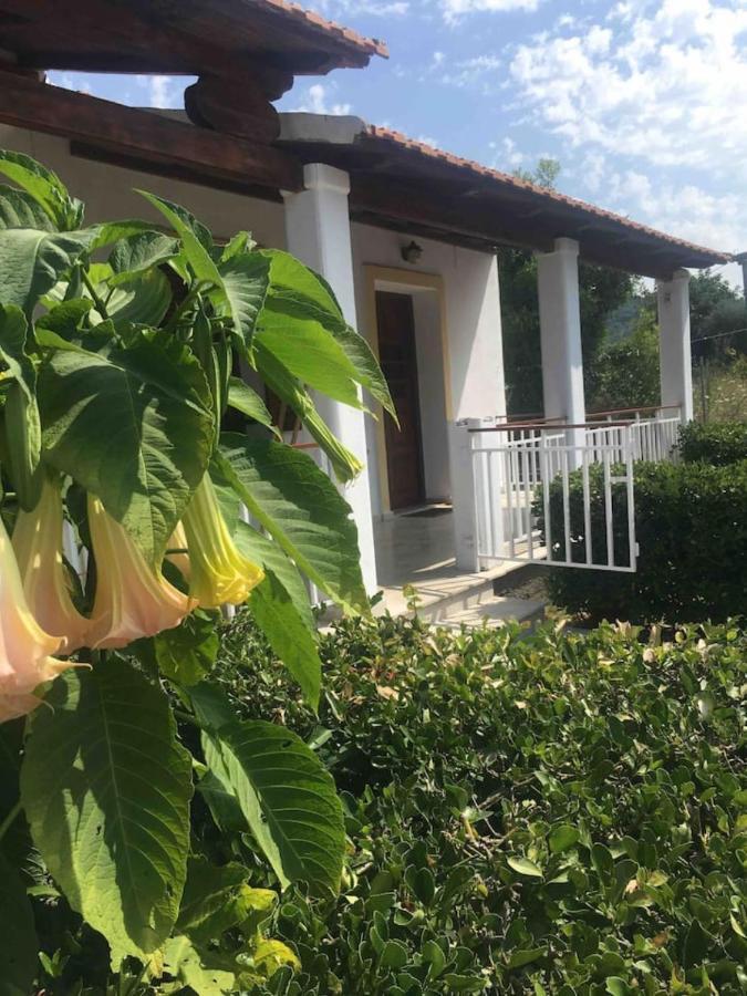 Thanos Rooms Arillas  Exterior photo